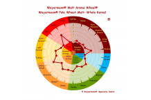 Malta de Trigo Ecologica 5 Kg