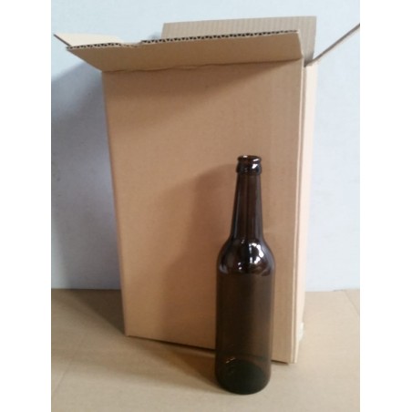 Pack 12 botellas 33cl con caja de carton