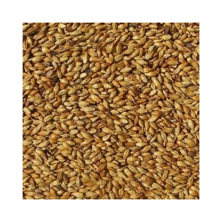 Malta CaraMunich Ecologica -1Kg