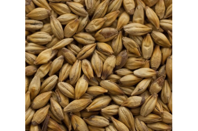 MALTA CARAMALT 25-40 EBC - T. FAWCETT. 1 KG. MALTA CARAMALT 25-40 EBC - T. FAWCETT. 1 KG.