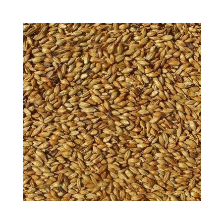 Malta CaraMunich Ecologica -1Kg
