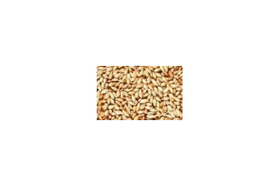 Malta Pale - 1Kg Malta Pale - 1Kg