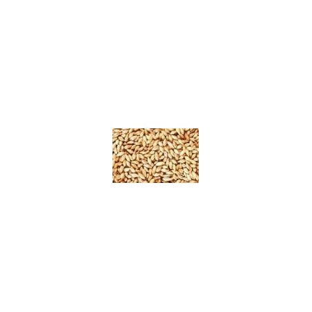 Malta Pale - 1Kg